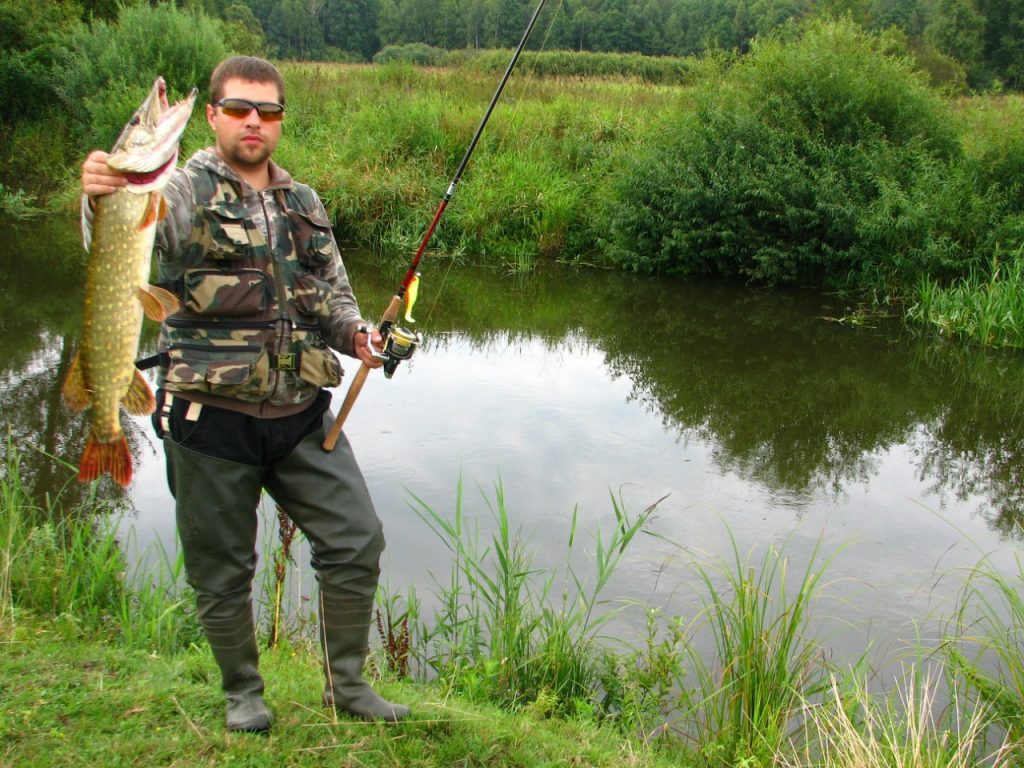 летняя рыбалка в украине видео